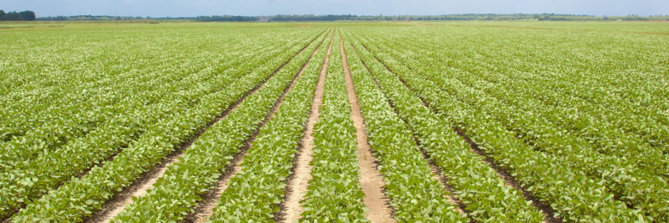 Our products fresh and top quality