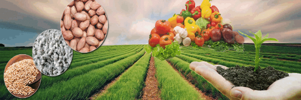 delivery that meets
our clients specifications