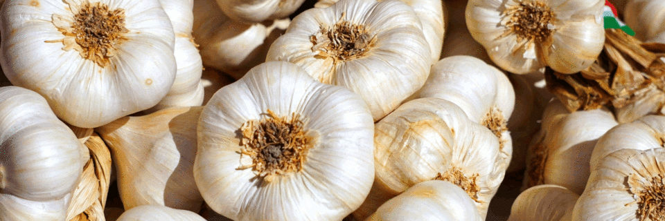 Our products are fresh and of high quality that meets international standards