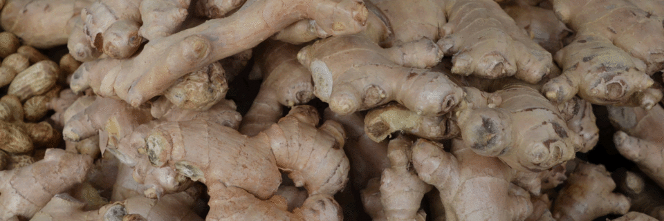 Our products are fresh and of high quality that meets international standards